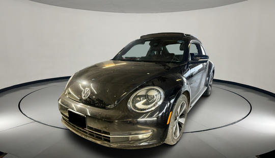 Volkswagen • Beetle