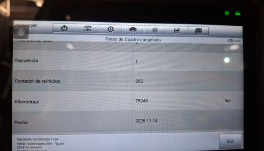 Volkswagen • Tiguan