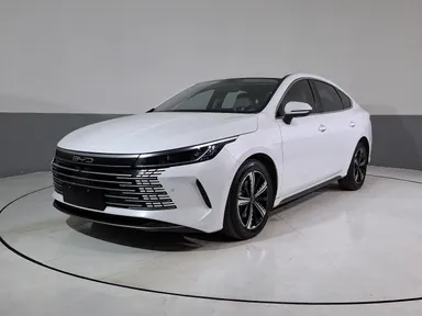 Byd King