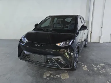 Byd Dolphin Mini