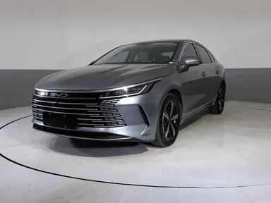 Byd King