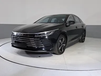 Byd King