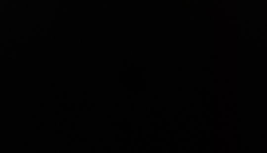 Volkswagen • Jetta