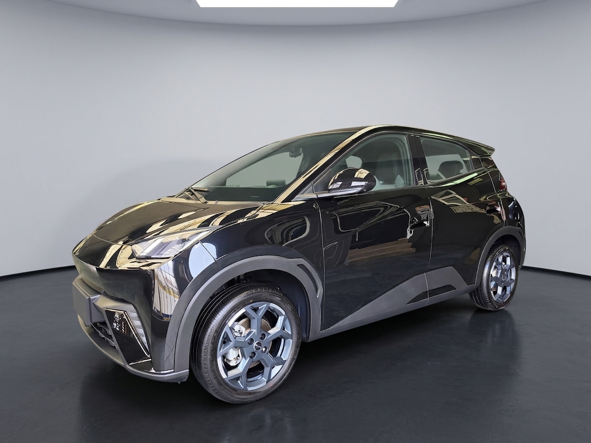 Byd Dolphin Mini 2026