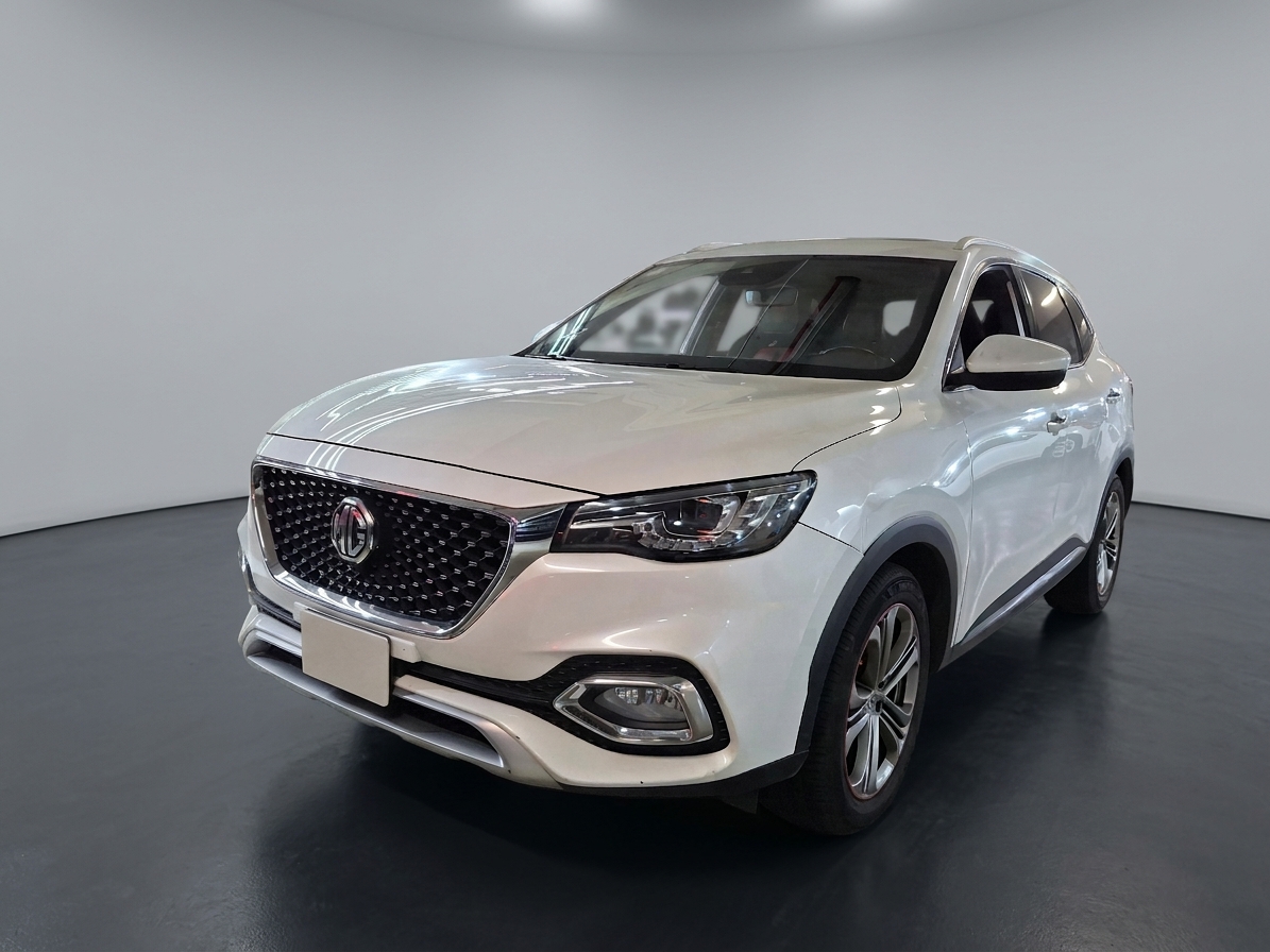 Mg Hs 2021