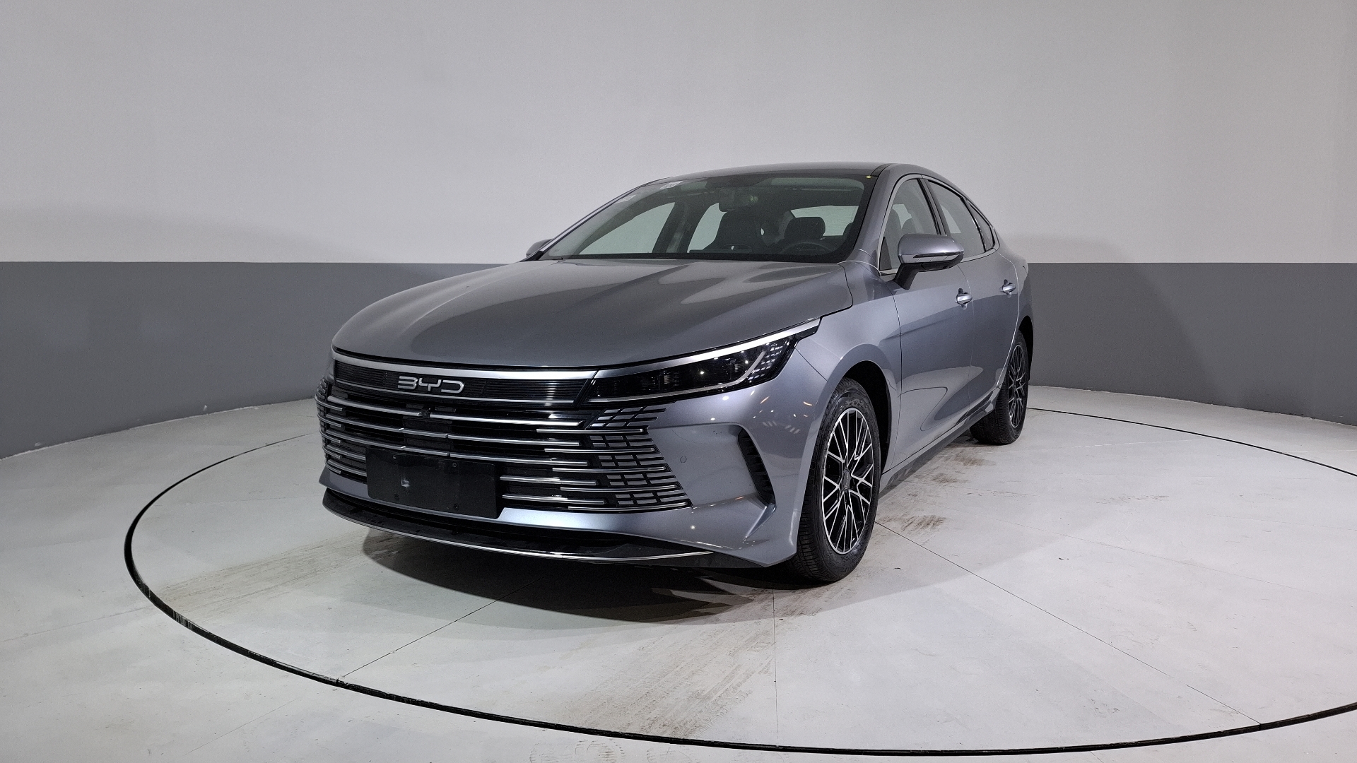Byd King 2026
