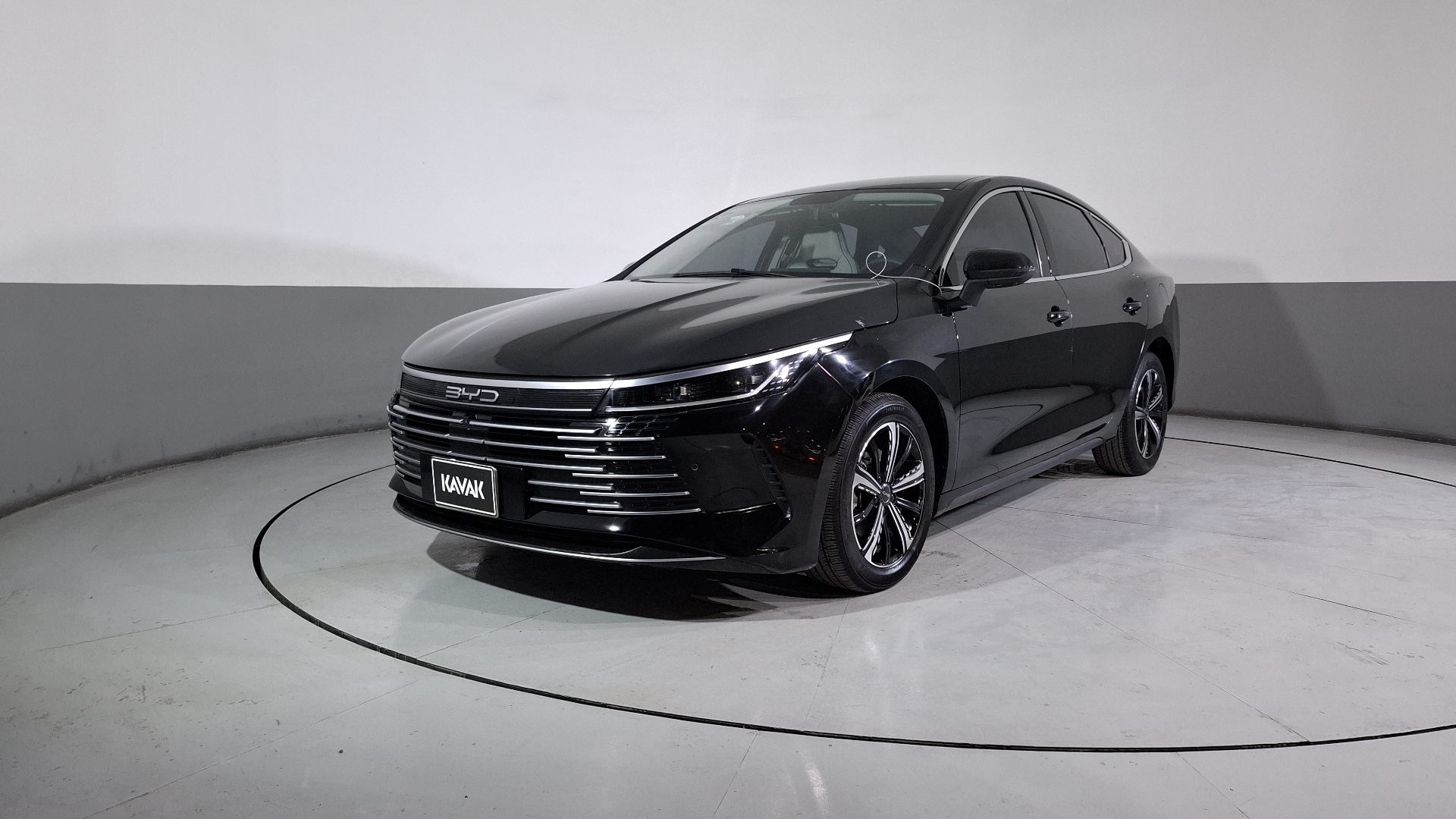 Byd King 2025