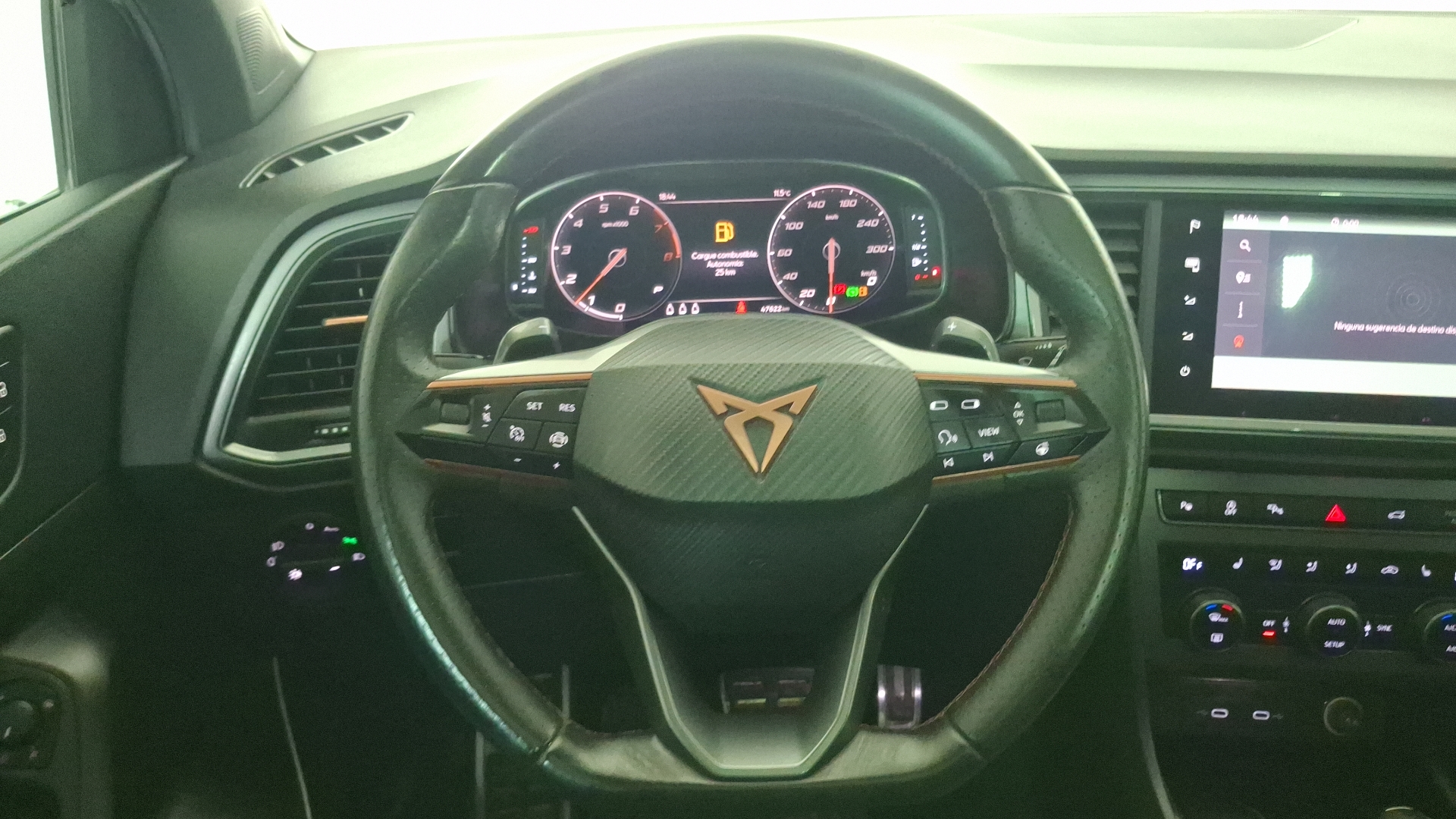 Cupra Ateca — foto 8 de 17