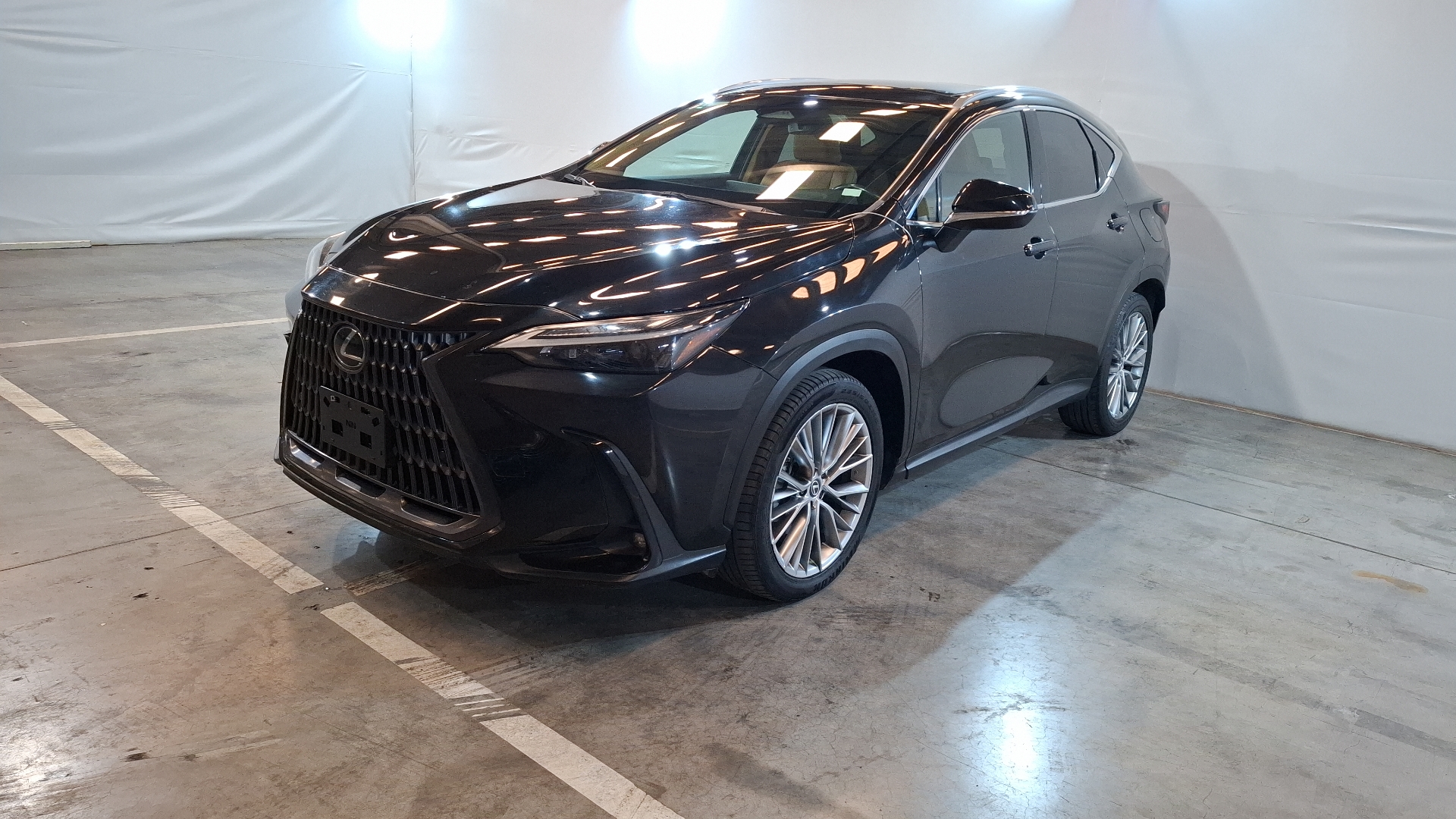 Lexus NX 2024